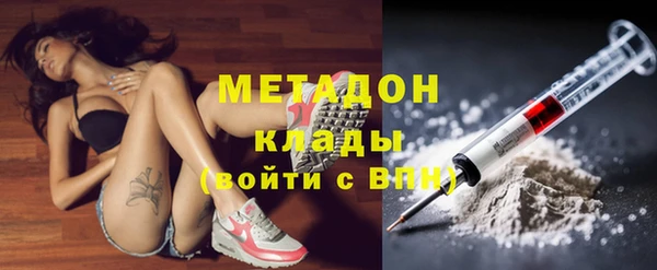 шишки Аркадак