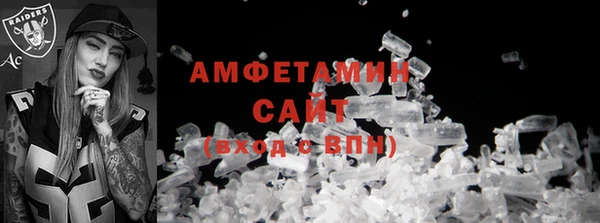 шишки Аркадак