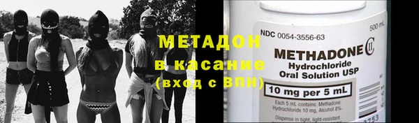шишки Аркадак
