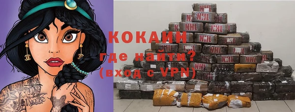шишки Аркадак