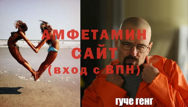 шишки Аркадак