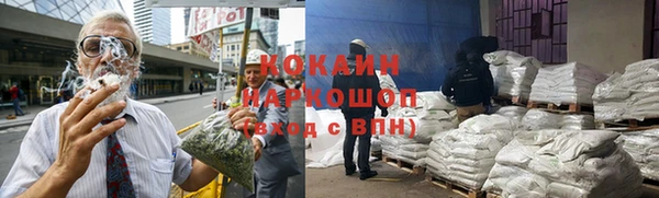 шишки Аркадак
