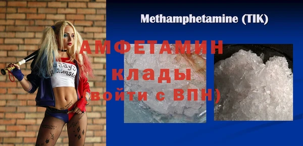 шишки Аркадак