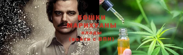 шишки Аркадак